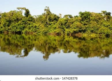 Amazon River Peru Stock Photo (Edit Now) 147428378