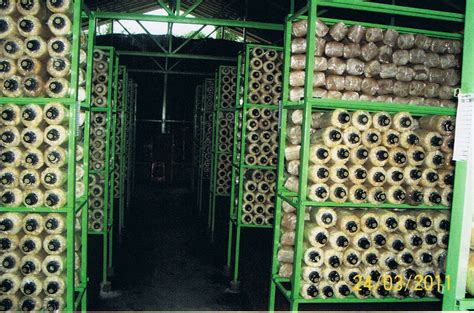 Rumah Cendawan Baru Ikb Mushroom Sdn Bhd