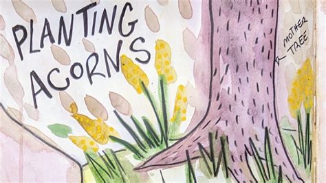 Planting Acorns – Spring Bird