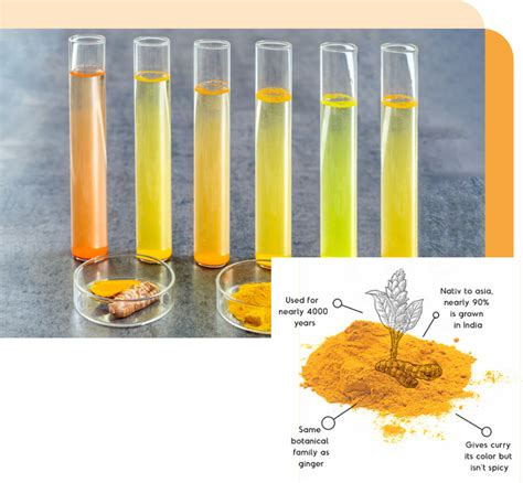 Nano Healthcare – Curcumin