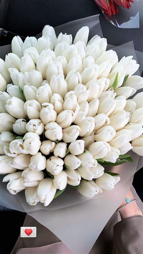 Тюльпаны🍋 | Beautiful bouquet of flowers, White flowers, Flowers ...