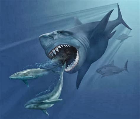 Megalodon shark | Wild Life World