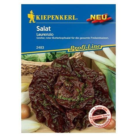 Kiepenkerl Profi Line Salatsamen Laurenzio Lactuca Sativa Var