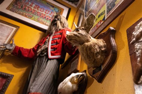 Cryptids, the macabre highlighted in Austin’s Museum of the Weird ...