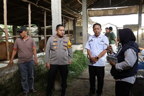 Menjelang Hari Raya Idul Adha H Kapolres Mesuji Meninjau