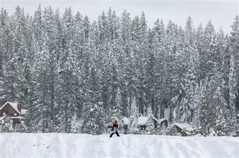 Marin Mother Winemaker Among Ski Group Killed In Tahoe Avalanche