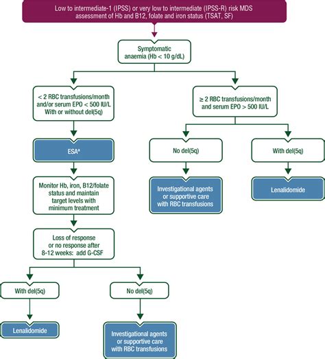 Iron Deficiency Anemia Cancer at Humberto Watts blog