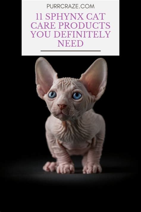 Sphynx Care Products to buy | Purr Craze