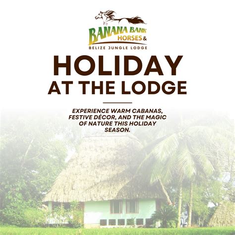 Banana Bank Horses and Belize Jungle Lodge | Belmopan