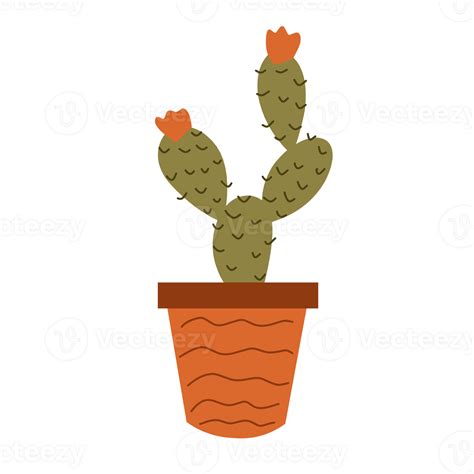 Cute Cactus Houseplant 35171619 PNG