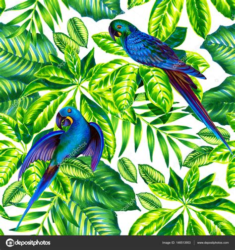 Bird Wallpaper Designs