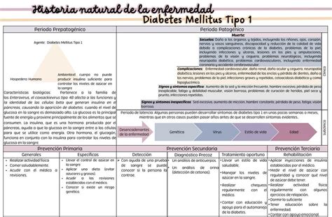 Historia Natural De La Enfermedad Formato Diabetes Mellitus Porn Sex