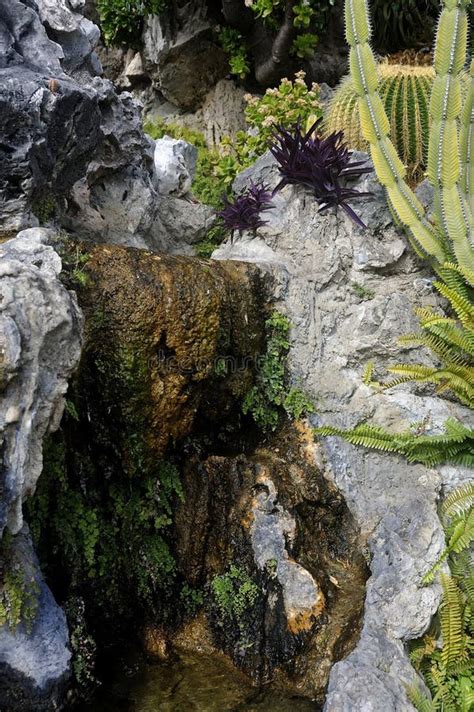 Visit The Exotic Garden Of Monaco Stock Photo Image Of Nature