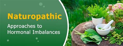 Naturopathic Approaches to Hormonal Imbalances