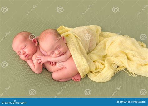 Identical Twins Sleeping Stock Photo Image Of Children 84967186