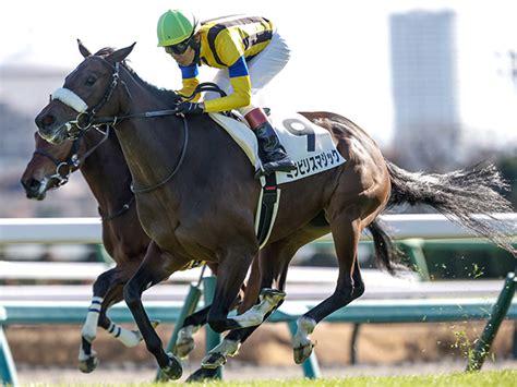 【中山5r新馬戦結果】キズナ産駒ミラビリスマジックが差し切り新馬勝ち 2023年12月17日掲載 ライブドアニュース