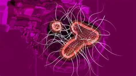 Pizzaman Sex On The Streets High Quality Video Youtube