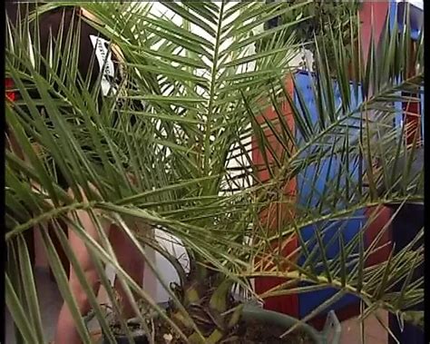 Sweet Sinners Episode 1 German Babe Babe Porn XHamster