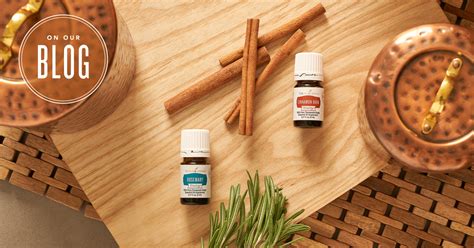 Quiz: Discover which Vitality oils you need | Young Living Blog