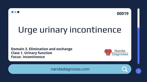 Nursing diagnosis Urge urinary incontinence