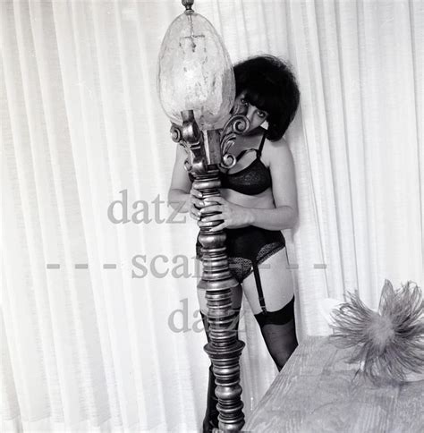 S Ron Vogel Negative Sexy Brunette Pinup Girl Sue Nasr Cheesecake V Picclick Uk