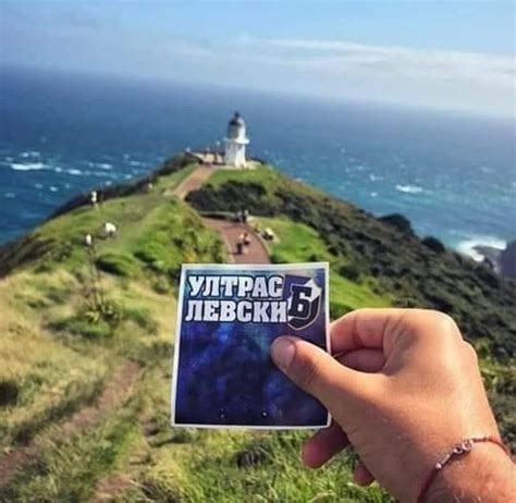 Всички стикери на Левски.