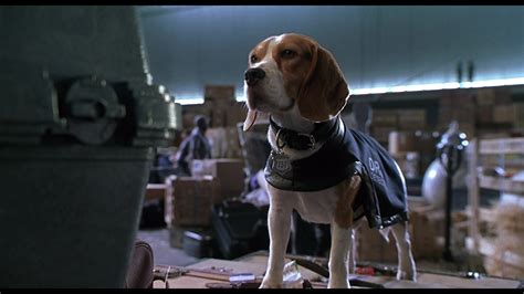 Babe Pig In The City Screencap Fancaps