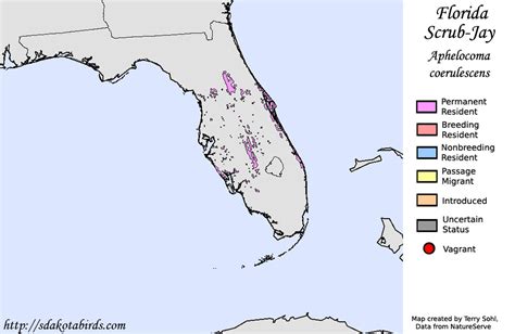 Florida Scrub-Jay - Species Range Map