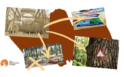Biodiversity Collage With Many Roots