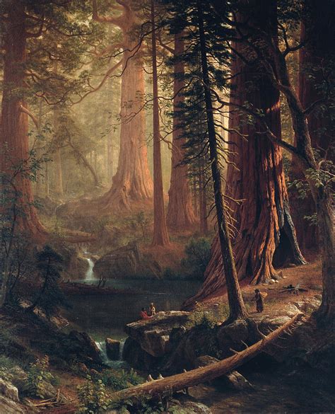 Giant Redwood Trees Of California Painting By Albert Bierstadt Fine