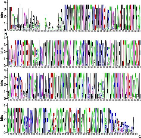 Graphical Representation Of The Multiple Sequence Alignment Of Inferred