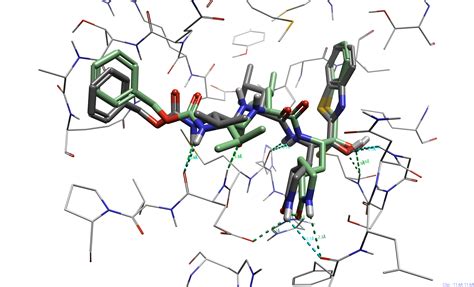 Covalent Docking In Flare V7 Cresset