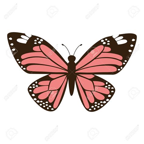 clip art butterfly wings 20 free Cliparts | Download images on ...