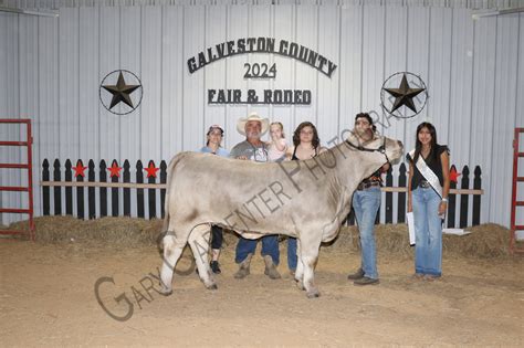 Gary Carpenter Photography Commercial Heifer Auction