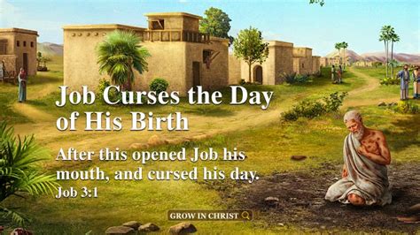 Bible Verse Of The Day Job Curses The Day Of His Birth A Commentary