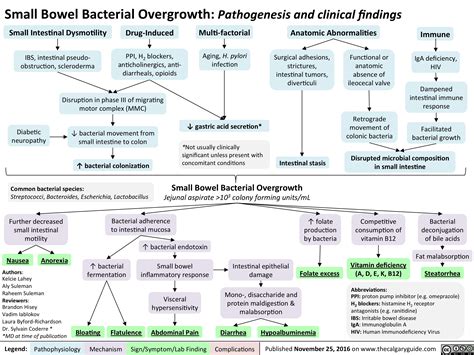 Small Bowel Bacterial Overgrowth: Pathogenesis and clinical findings
