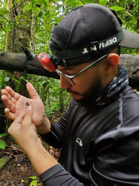 Estudiante de la UNAH descubre nueva especie de escorpión endémico de