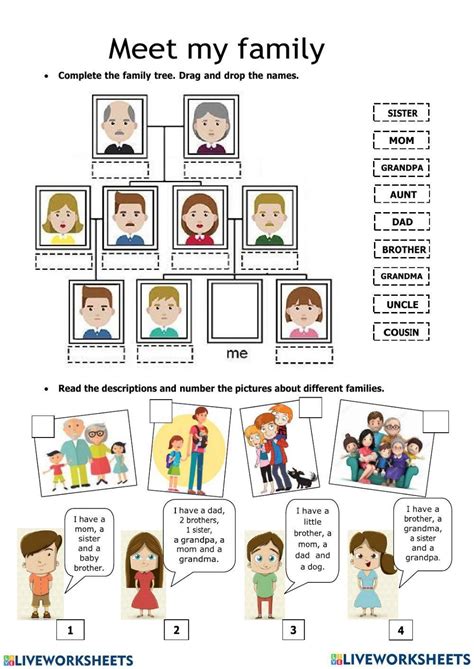 family members  relatives worksheet worksheets library