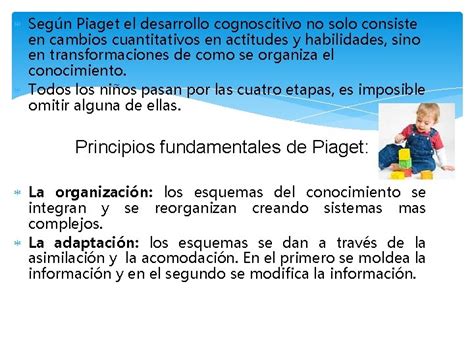 Desarrollo Cognoscitivo Las Teoras De Piaget Y Vygotsky