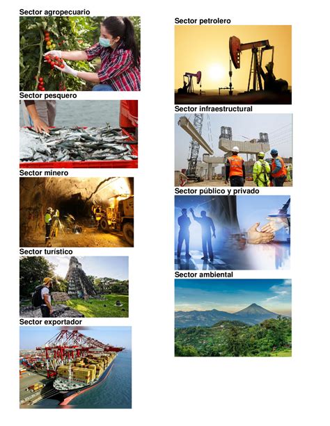 Sectores economicos de guatemala | Diapositivas de Economía | Docsity