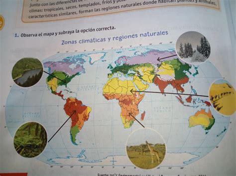 Imágenes De Las Regiones Naturales 5