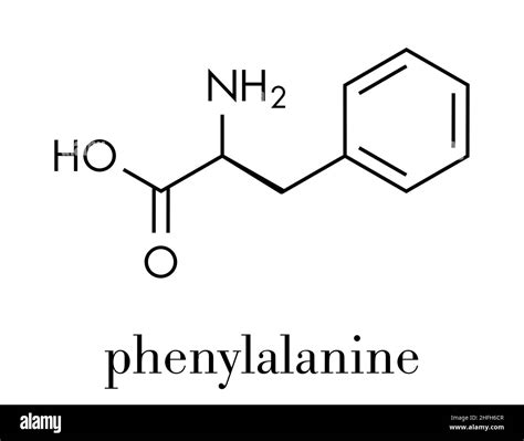 Phenylalanine (l-phenylalanine, Phe, F) amino acid molecule. Skeletal ...