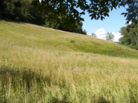 How to request copies of harrison county judicial records online 17