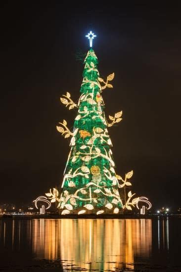 Brazil lights up world's tallest floating Christmas tree - OrissaPOST