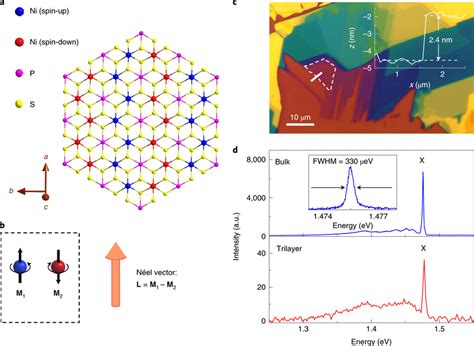 Antiferromagnetic Spin Structure And Sharp Emission Of NiPS3 A Top