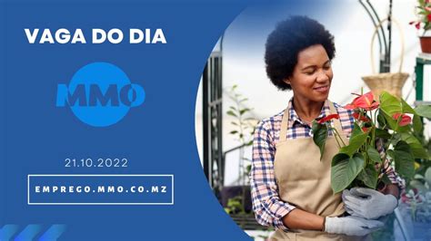 Vagas De Emprego Do Dia 21 De Outubro De 2022 50 Vagas MMO