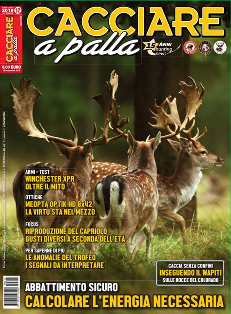 Cacciare A Palla Dicembre 2019 In Edicola Dal 16 Novembre Caccia Magazine