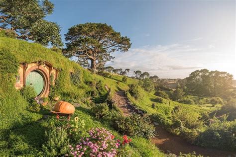 Tripadvisor Private Tour Auckland Nach Hobbiton Waitomo Zur