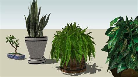 Sketchup Components 3D Warehouse - Indoor Plants