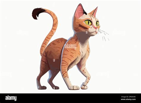 Gato De Cuerpo Completo Personaje De Dibujos Animados Ilustraci N